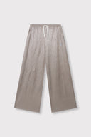Shiny Pants