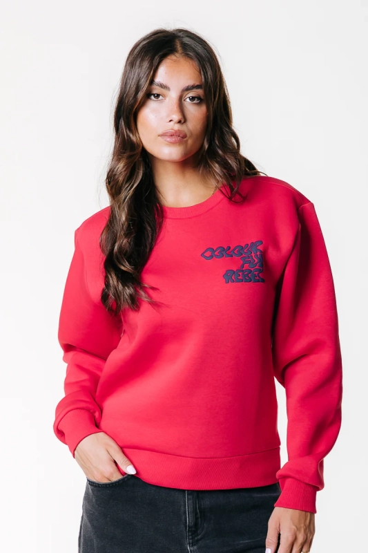 Wave Logo Sweater - Rood