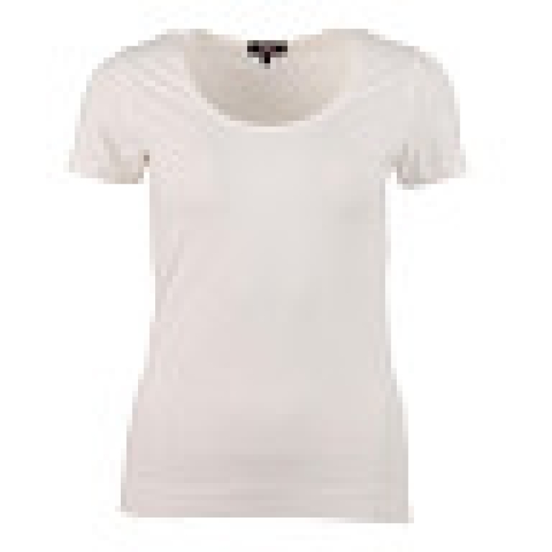 T-Shirt Basis