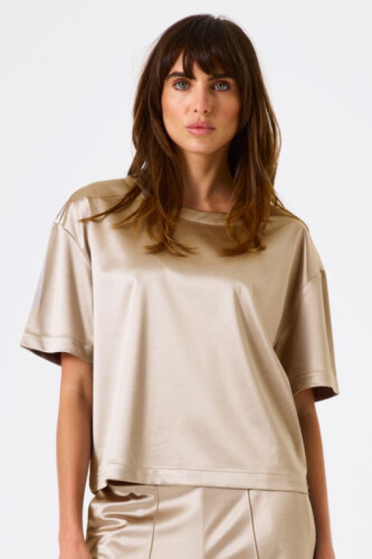 Top Metallic Goud